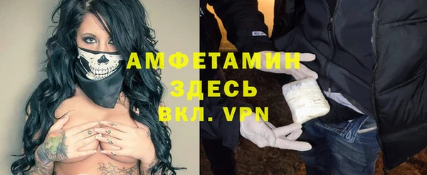 шишки Аркадак