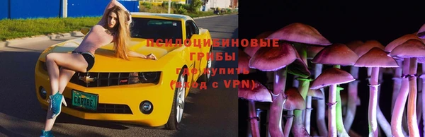 крисы Алексеевка