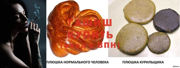ешки Алексин