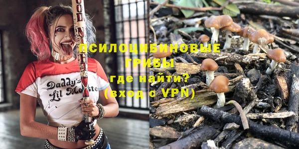 крисы Алексеевка
