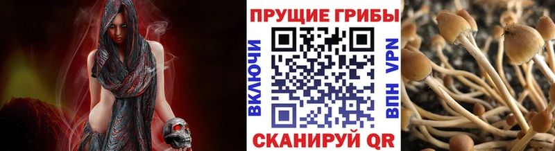 Галлюциногенные грибы Psilocybe цены наркотик Печоры
